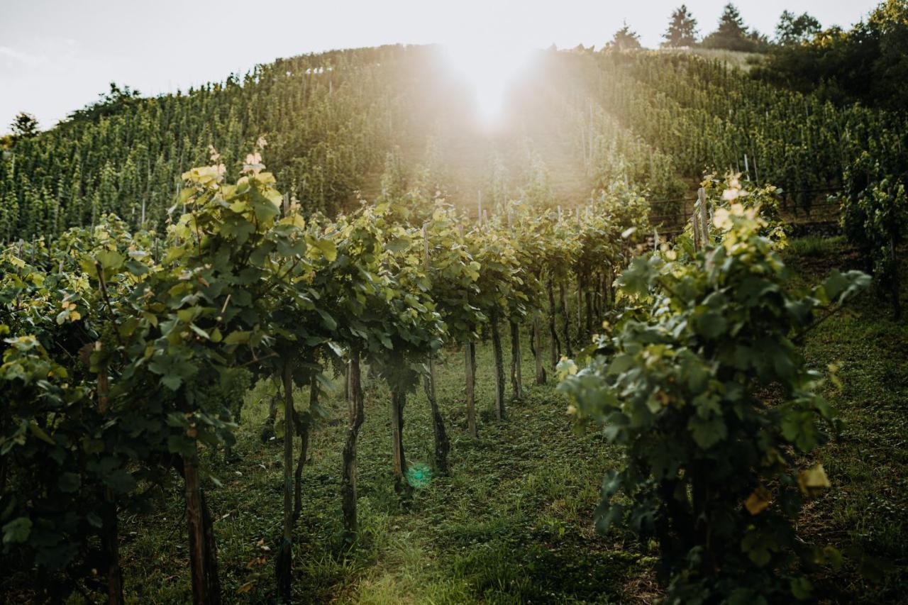 Weingut Meurer Reil Exterior foto